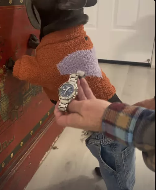 Frenchie steals my belongings and denies it was her !!!